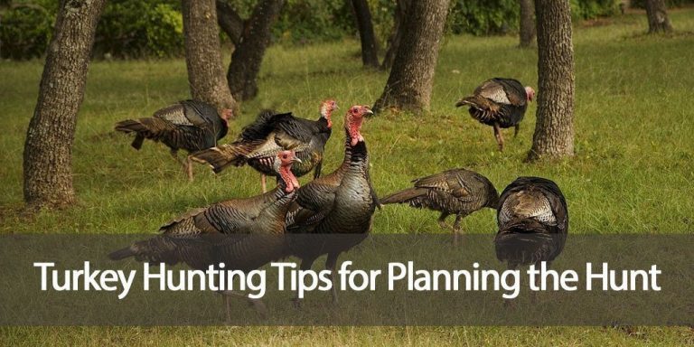 hunting tips