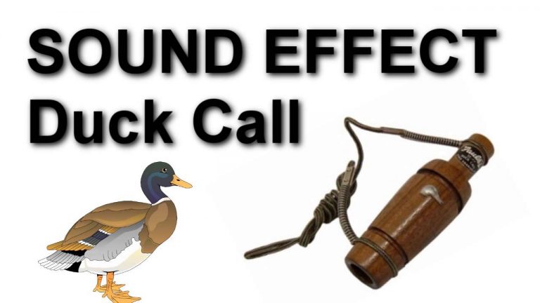 duck call